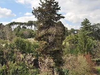 Magnolia Relais Rome